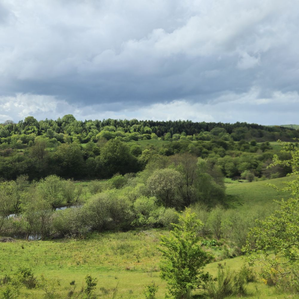 Jysk Natur af Søren Skov-ture